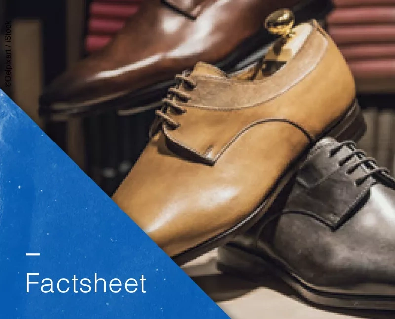 Factsheets Schuhe