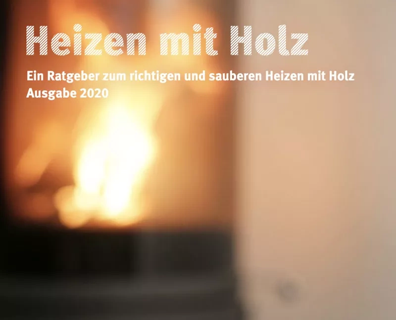 Cover: Flammen. Text: Heizen mit Holz. Ein Ratgeber zum richtigen und saubereb Heizen mit Holz. Ausgabe 2020