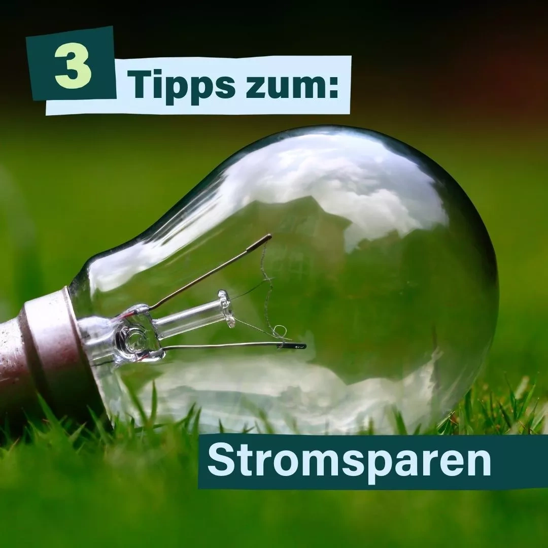 3 Tipps zum: Stromsparen - Eine Glühbirne liegt im Gras