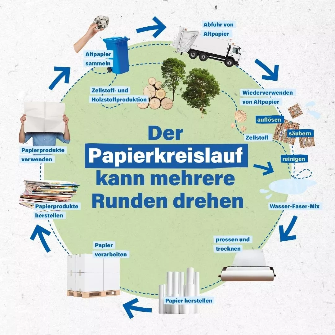 Der Papierkreislauf kann mehrere Runden drehen - Zellstoff- und Holzstoffproduktion - Zellstoff auflösen, säubern und reinigen - Wasser-Faser-Mix - pressen und trocknen - Papier herstellen - Papier verarbeiten - Papierprodukte herstellen - Papierprodukte verwenden - Altpapier sammeln - Abfuhr von Altpapier - Wiederverwenden von Altpapier - Illustration von dem gesamten Kreislauf und jeder einzelnen Station