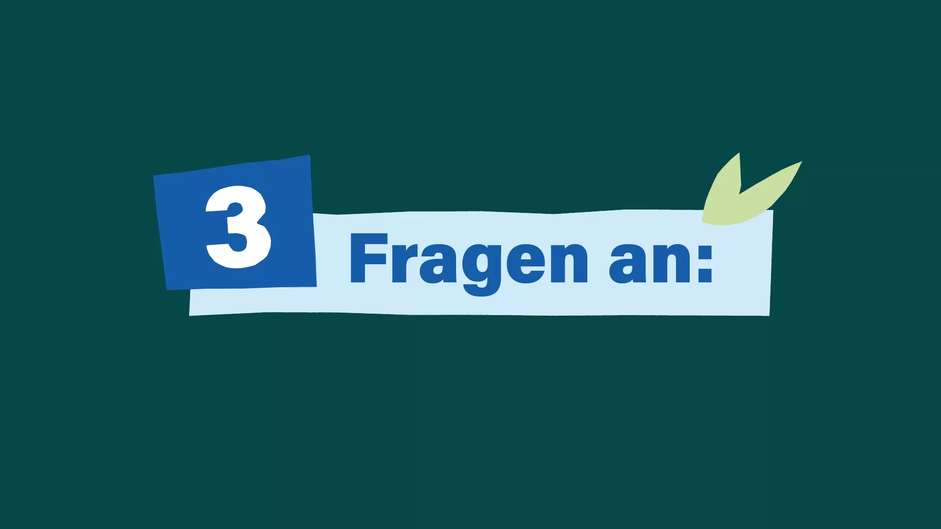 3 Fragen an