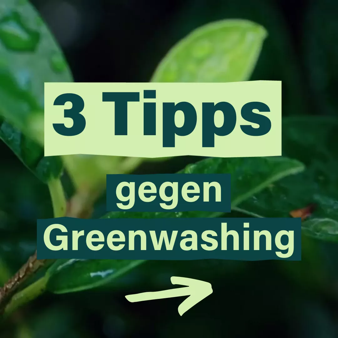 3 Tipps gegen Greenwashing und ein Pfeil der nach Rechts zeigt. Im Hintergrund sieht man in Nahaufnahme ein paar frische, grüner Blätter einer Pflanze