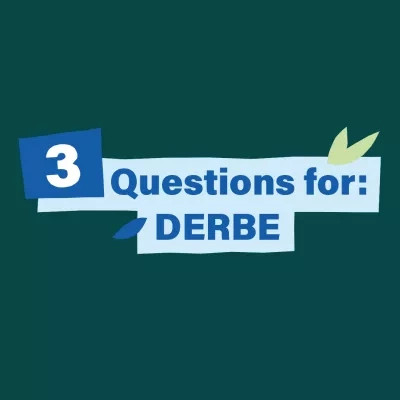 3 Questions for Derbe